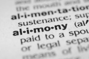 Dictionary page showing definition of "alimony".